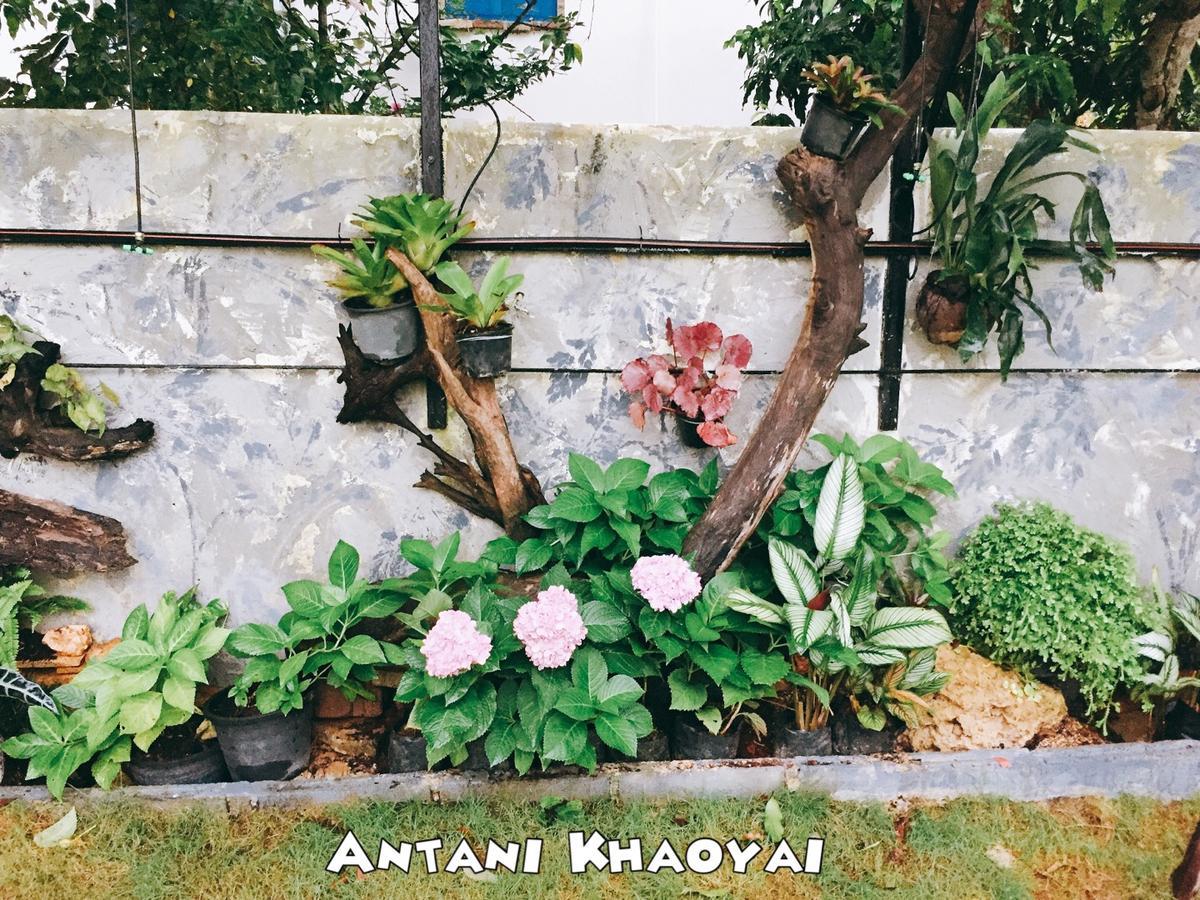Antani Home @Khaoyai Pong Talong Buitenkant foto